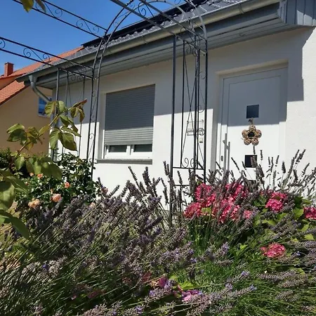 Holiday home In Comfortable *